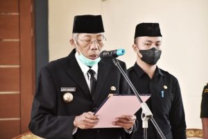 WhatsApp Image 2022-03-21 at 14.54.43